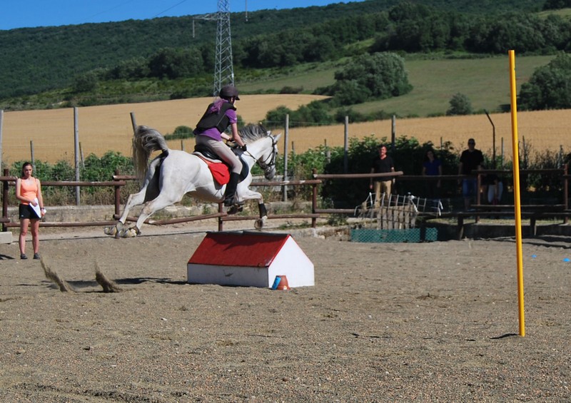 Zolina acogi&oacute; el Campeonato Navarro Trec 2017